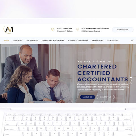 Natasa Lagou - Projects, A.L.M Audit and Tax services web design