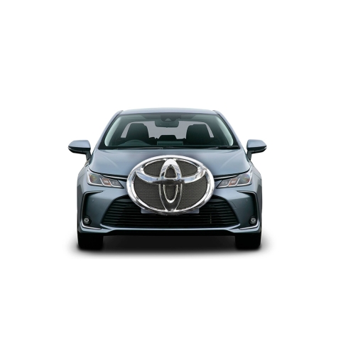 Natasa Lagou - Blog Post, Make my Logo Bigger, Toyota